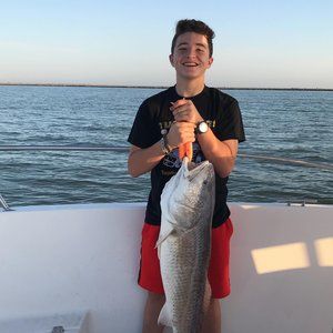 Meet your Posher, Zachary